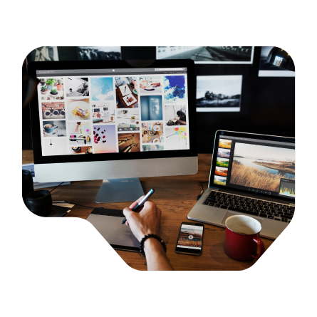 Desarrollo web & Ecommerce